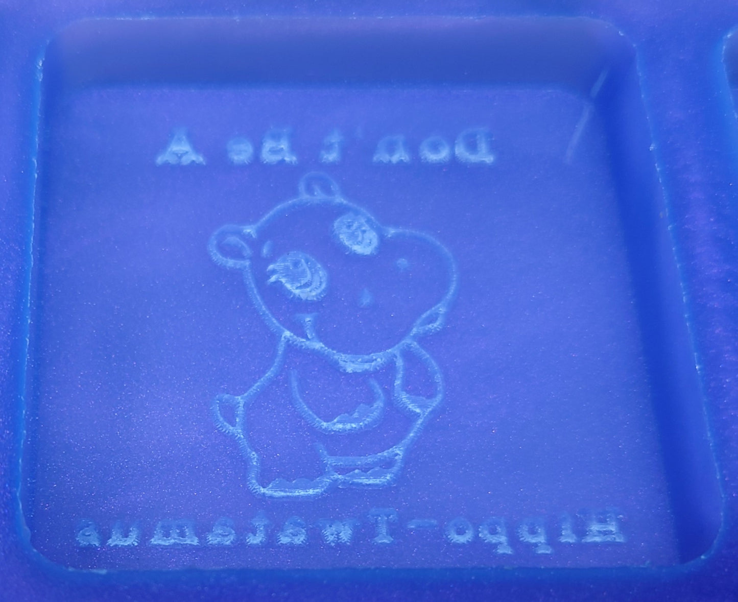 Sweary Slogans Silicone Mould