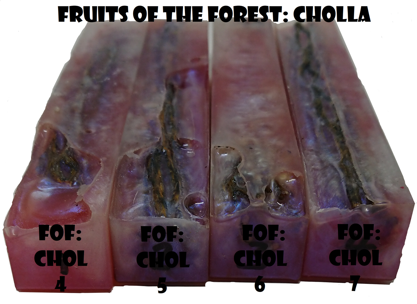 Fruits of the Forest Blanks