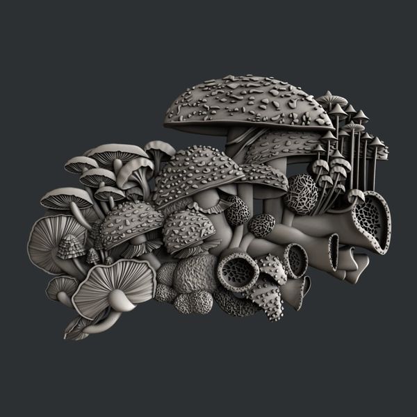 Zuri Mushroom Bloom 1