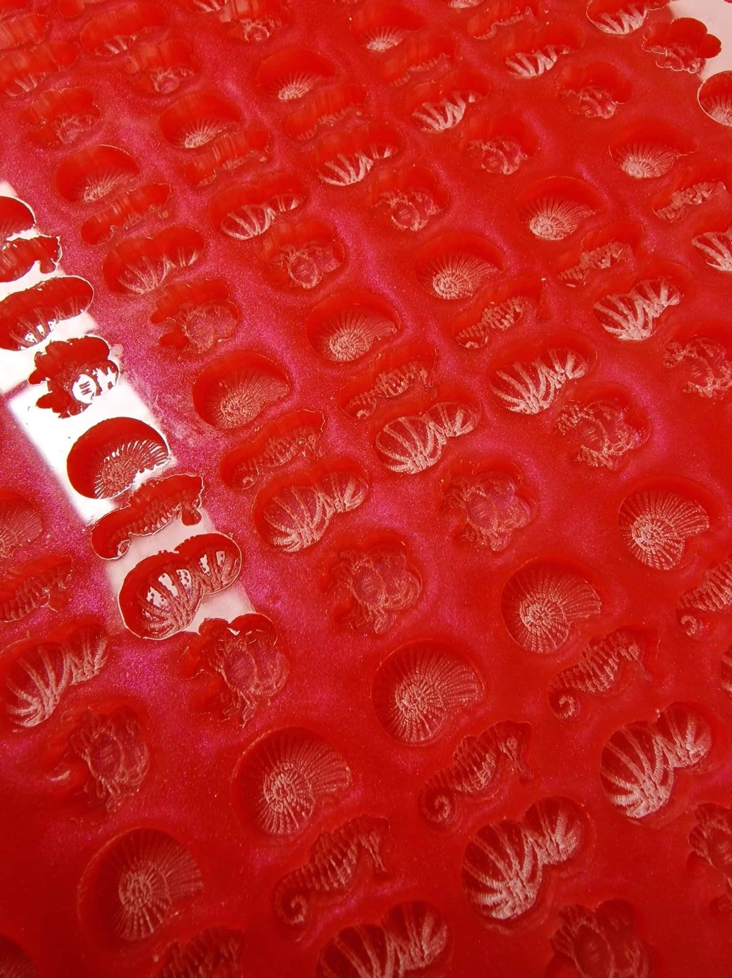 Sea life Scoop / Scoopies / Scoopy / Tiny Melts Silicone Mould