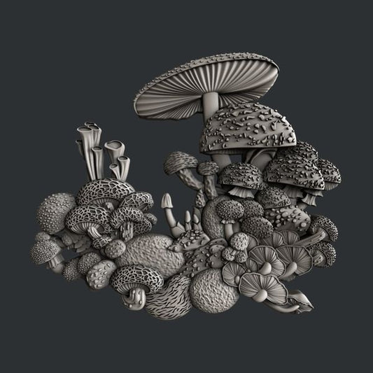 Zuri Mushroom Bloom 5